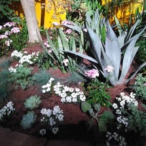 Meet your Posher, Meggan